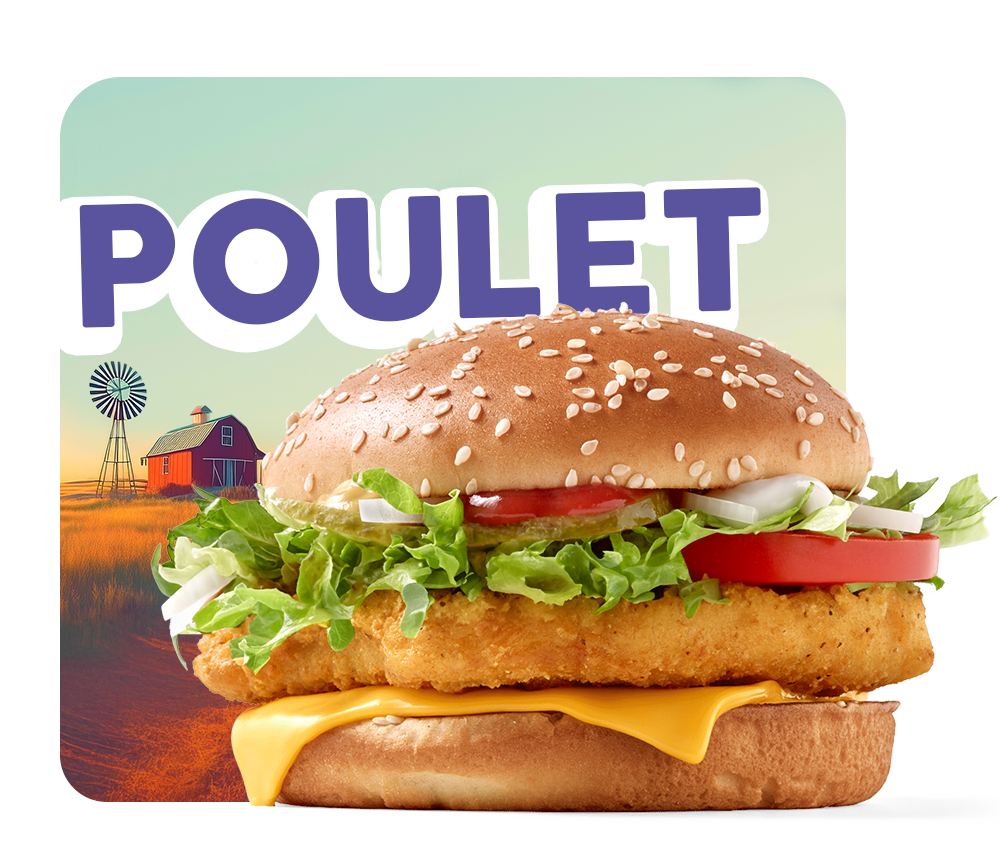  poulet 